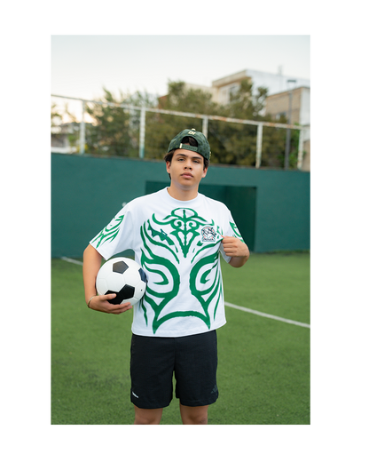 DREAM MYSTERIO